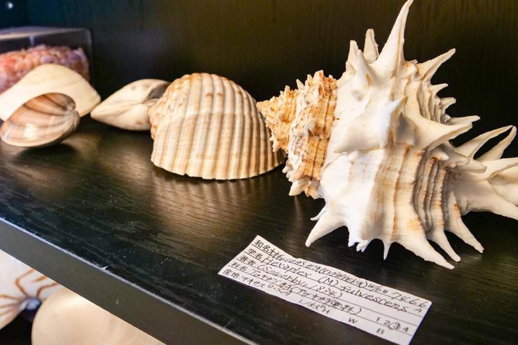 Kodaka Hotel Tokyo Eksteriør bilde